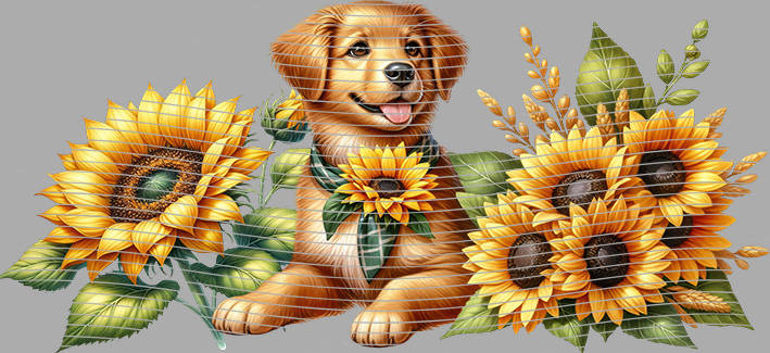 16oz Sunflower Girl-SU-29